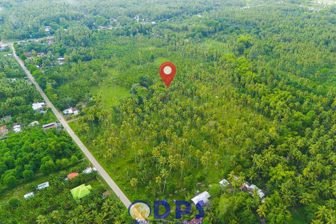 Land for Sale in Talas, Sulop, Davao del Sur – photo 8