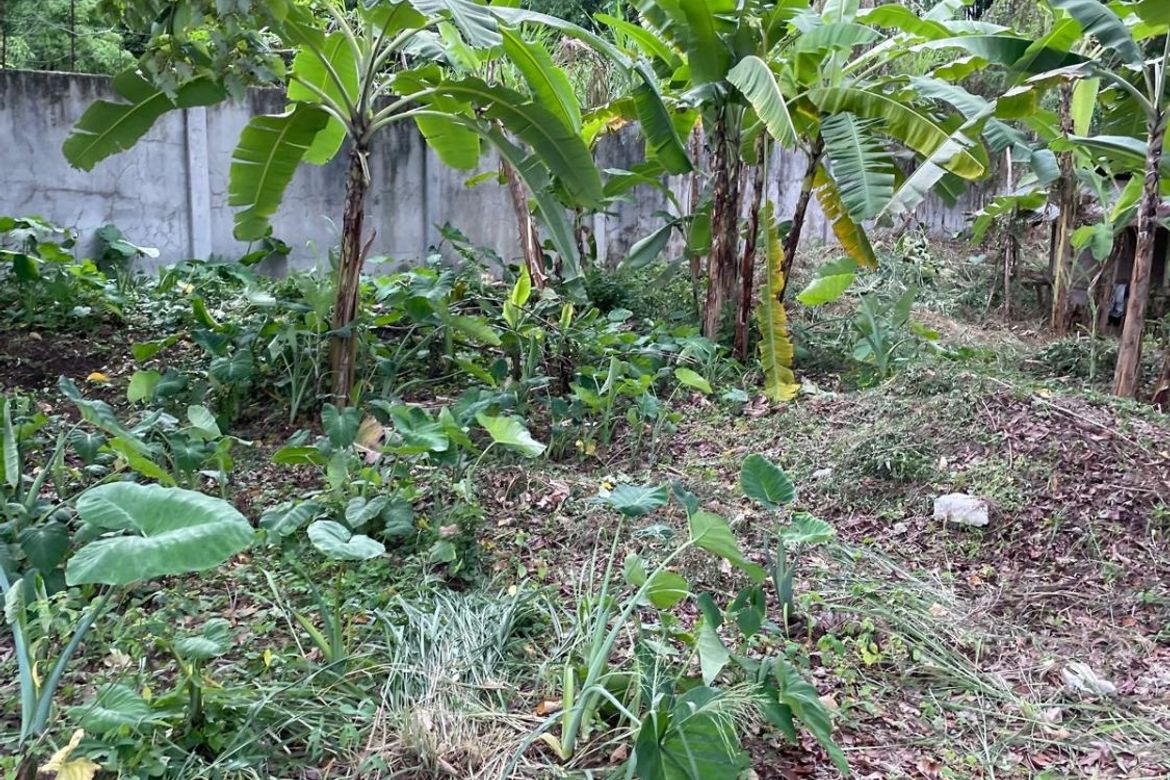 Land for Sale in Talay, Dumaguete, Negros Oriental – photo 7
