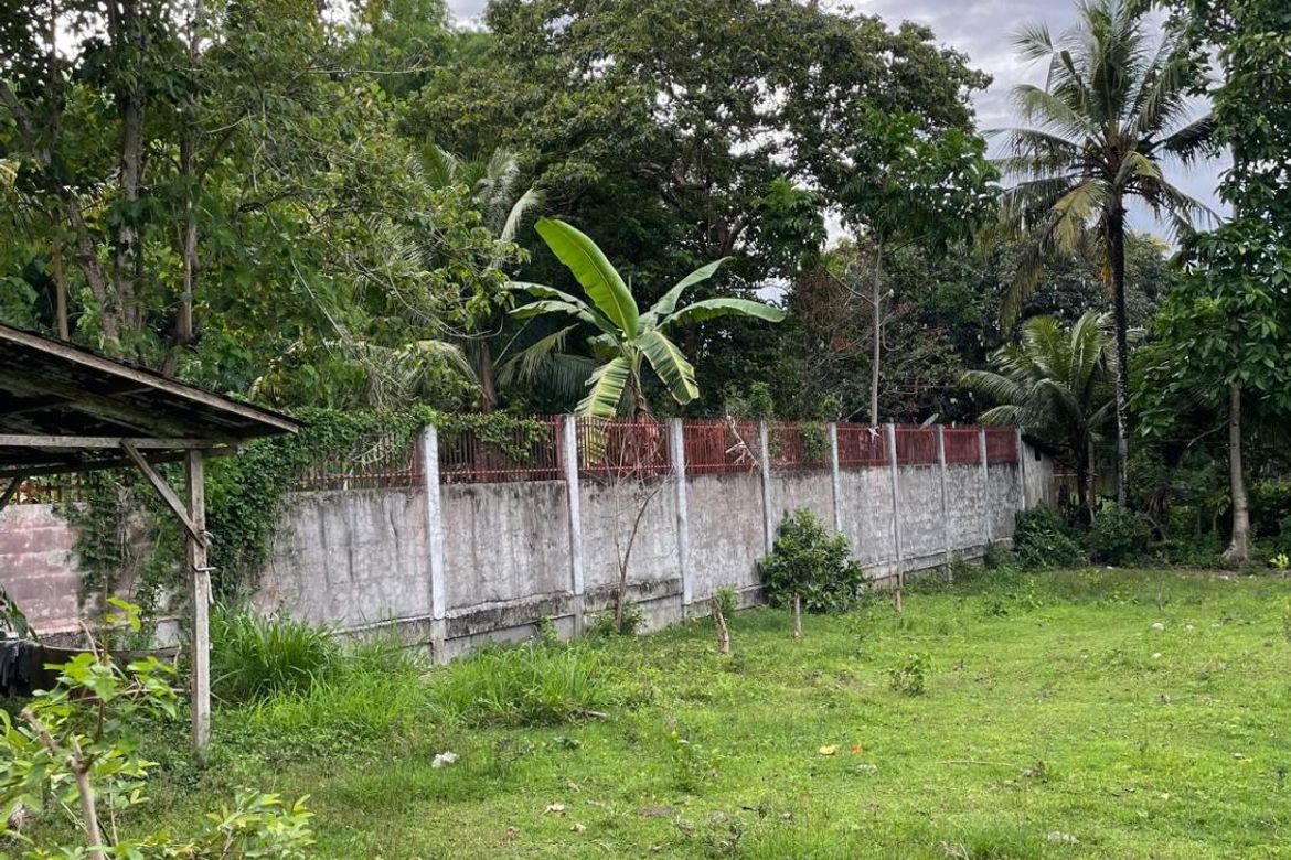 Land for Sale in Talay, Dumaguete, Negros Oriental – photo 8
