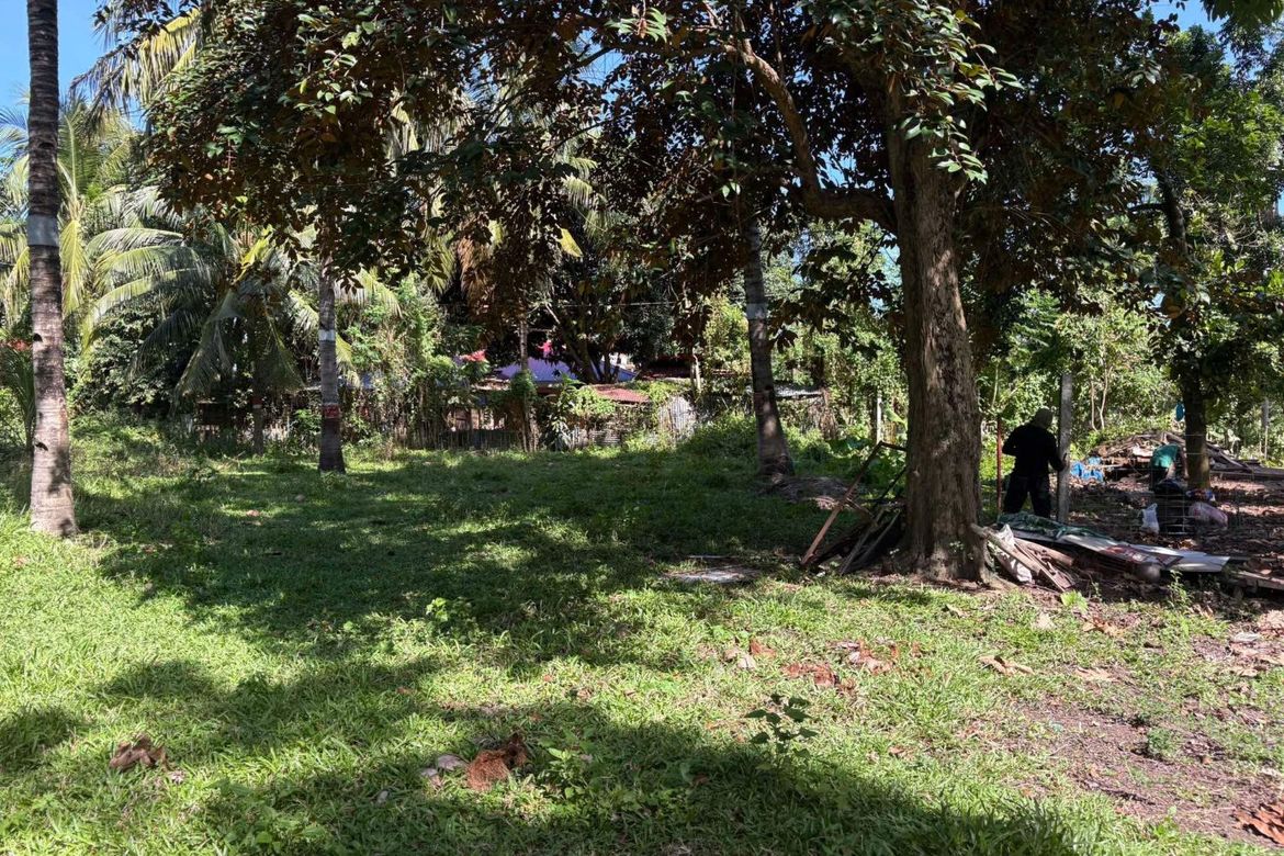 Land for Sale in Talay, Dumaguete, Negros Oriental – photo 7