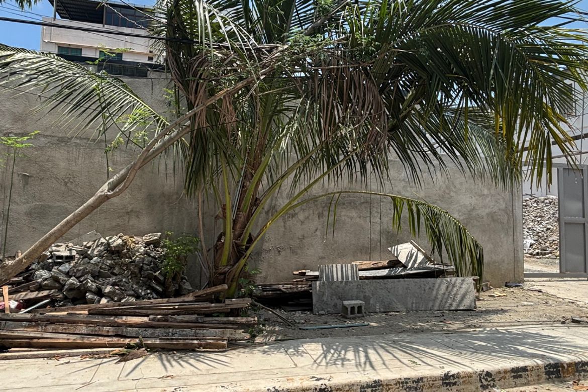 Land for Sale in Talayan, Quezon City, Metro Manila
