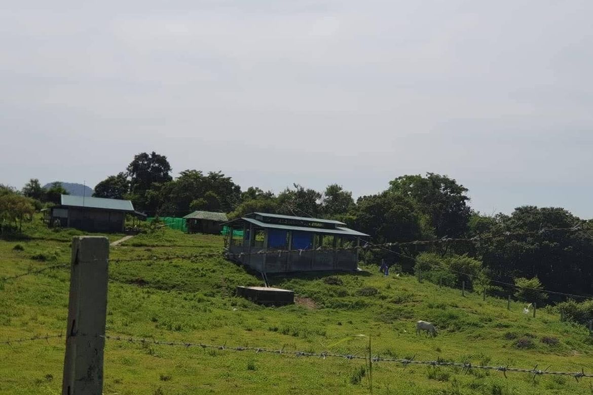 Land for Sale in Talisay, Calatagan, Batangas – photo 2