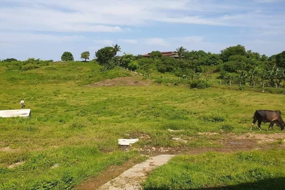 Land for Sale in Talisay, Calatagan, Batangas – photo 3