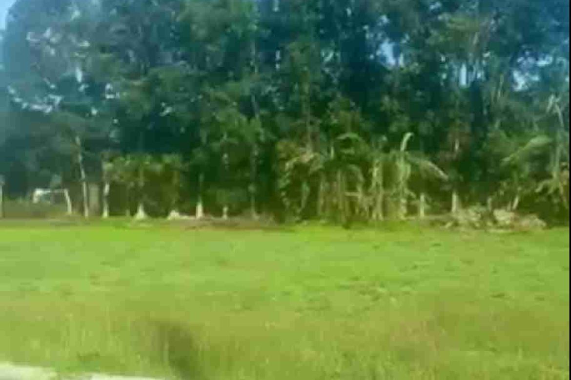 Land for Sale in Talisay, Lipa, Batangas