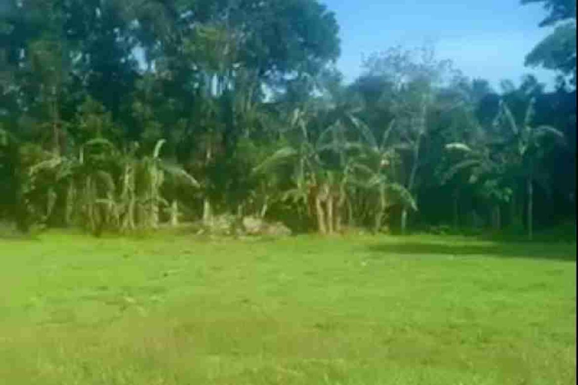 Land for Sale in Talisay, Lipa, Batangas – photo 2