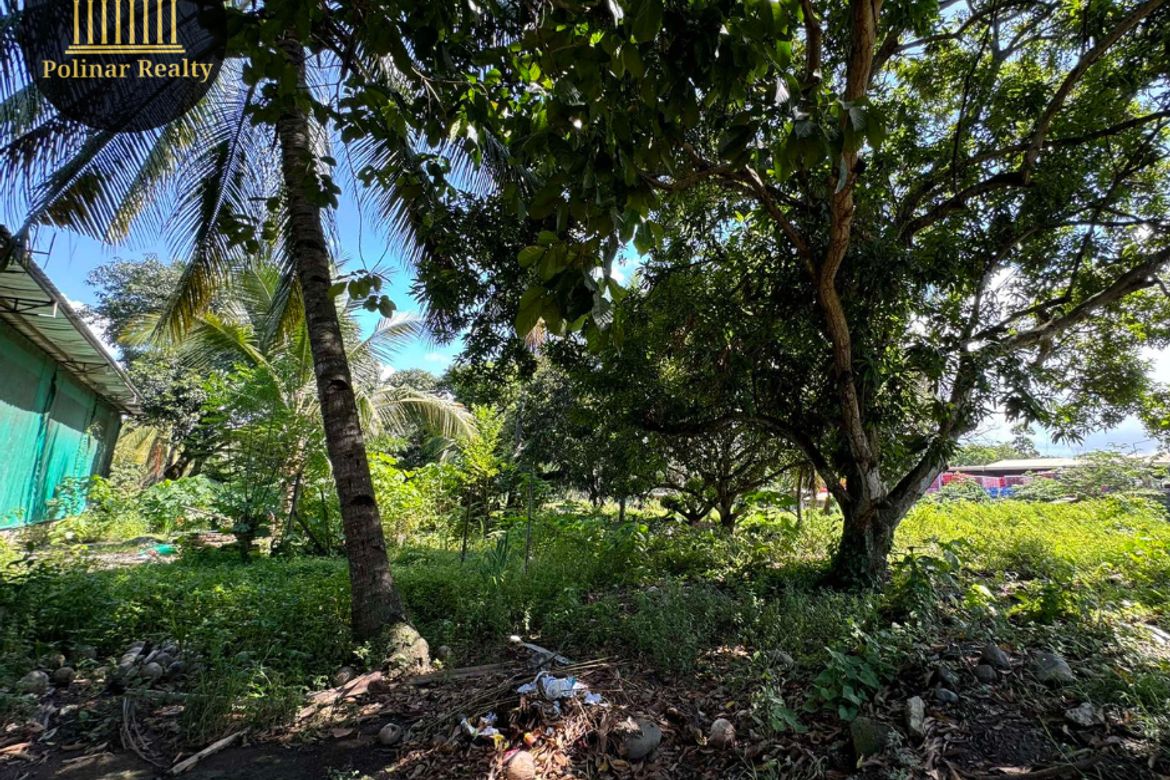 Land for Sale in Talomo, Davao City, Davao del Sur