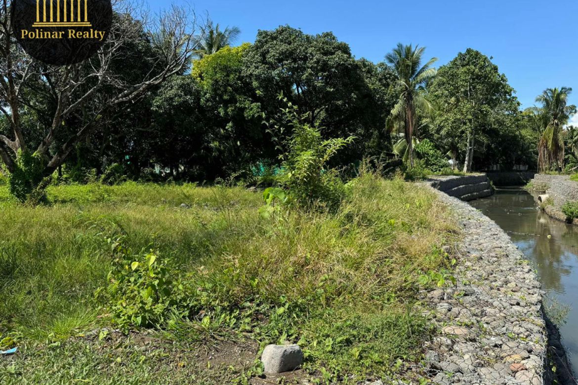 Land for Sale in Talomo, Davao City, Davao del Sur – photo 4