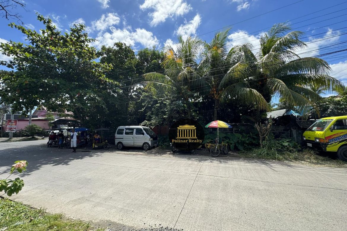 Land for Sale in Talomo, Davao City, Davao del Sur – photo 2