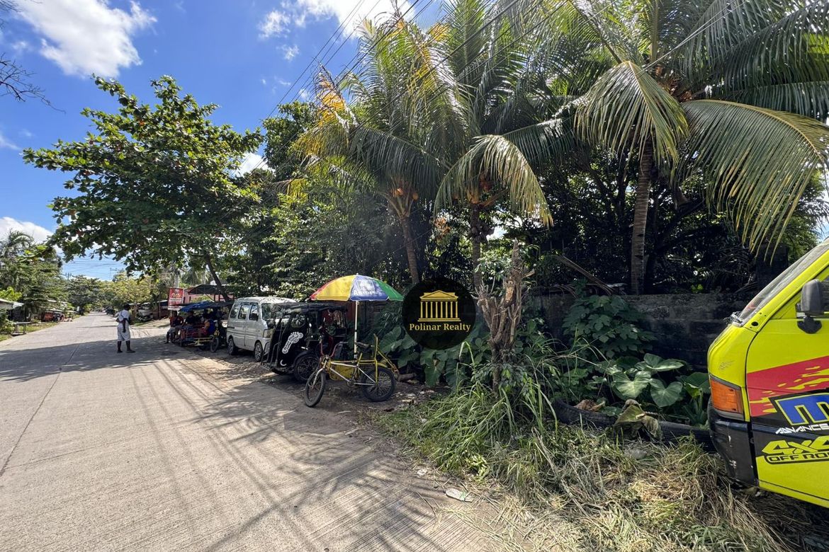 Land for Sale in Talomo, Davao City, Davao del Sur – photo 6
