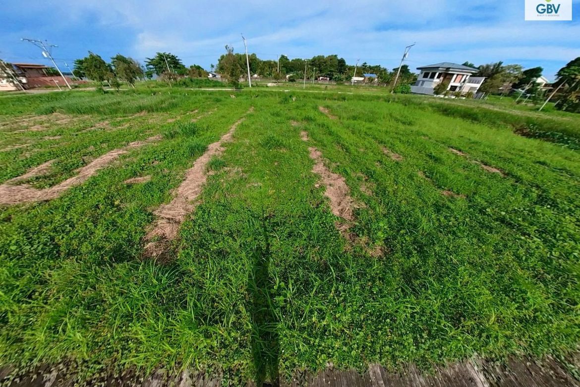 Land for Sale in Talomo, Davao City, Davao del Sur – photo 2