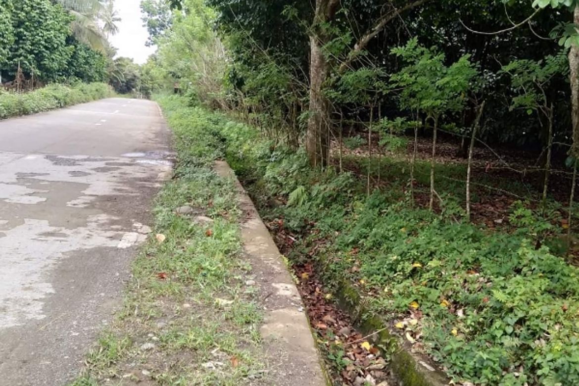 Land for Sale in Talomo River, Davao City, Davao del Sur