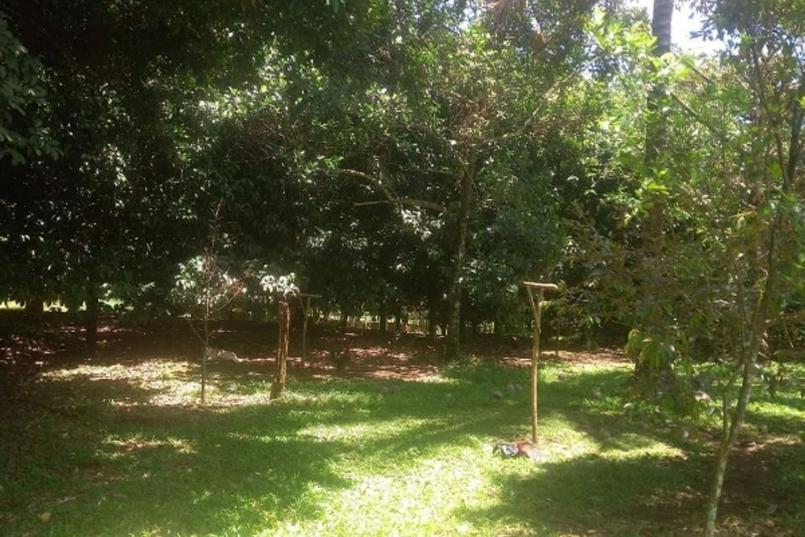 Land for Sale in Talomo River, Davao City, Davao del Sur – photo 2