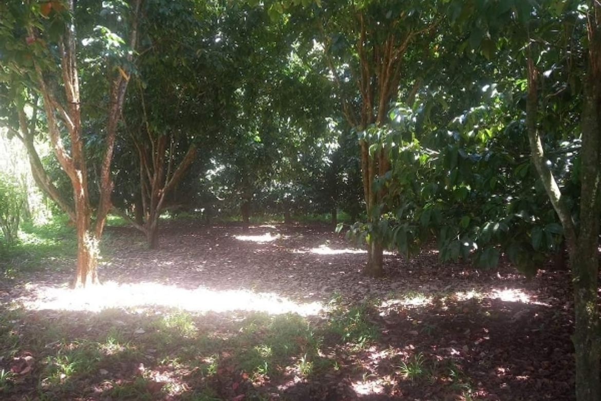 Land for Sale in Talomo River, Davao City, Davao del Sur – photo 3