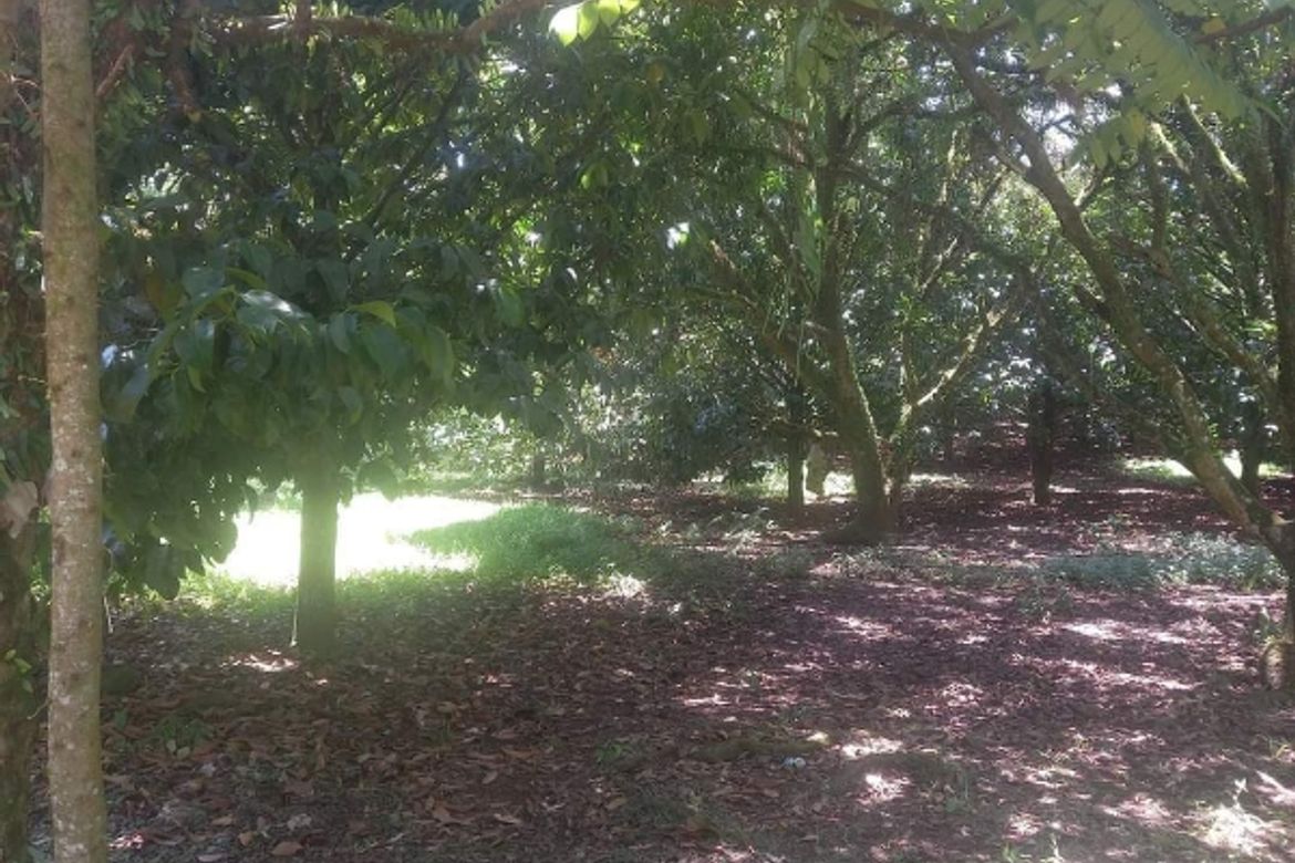 Land for Sale in Talomo River, Davao City, Davao del Sur – photo 4
