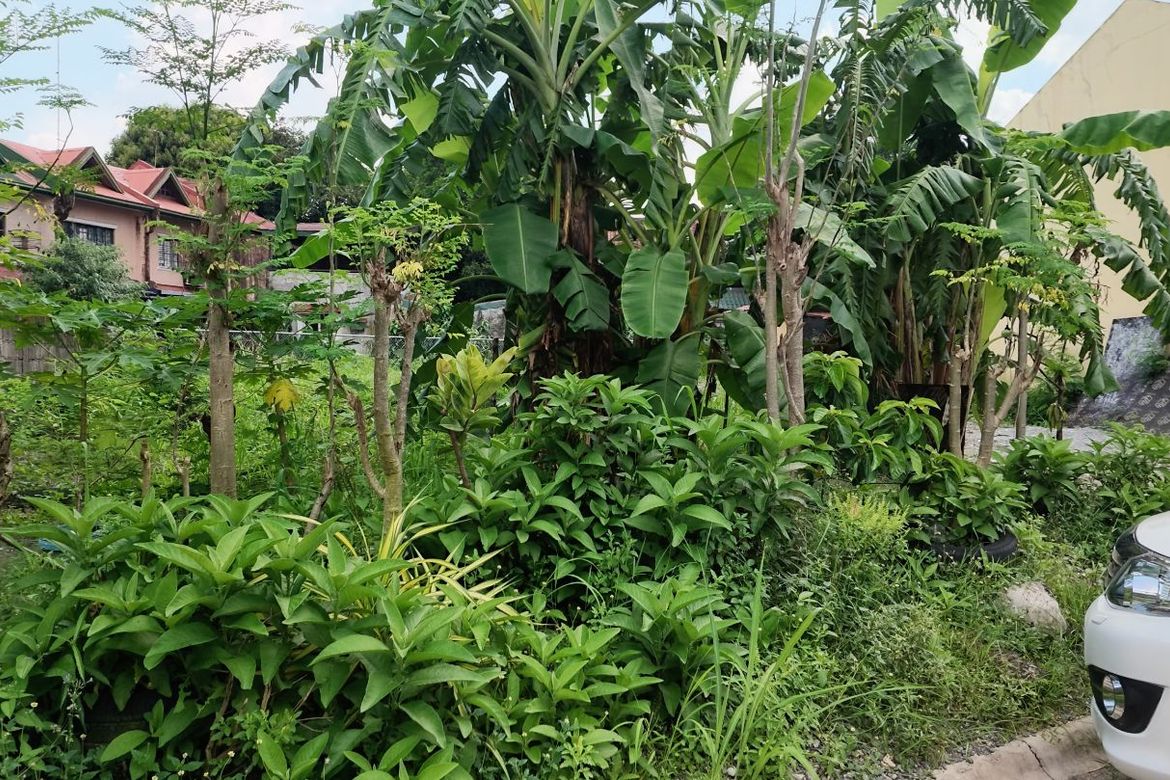 Land for Sale in Talon Dos, Las Piñas, Metro Manila – photo 3