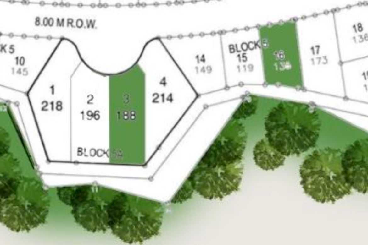 Land for Sale in Talon Dos, Las Piñas, Metro Manila – photo 4