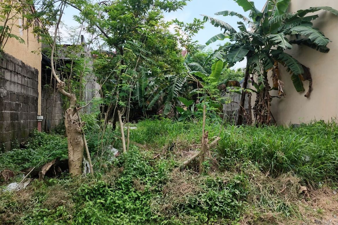 Land for Sale in Talon Dos, Las Piñas, Metro Manila – photo 2