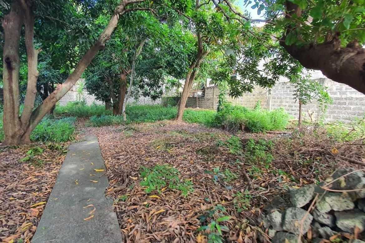 Land for Sale in Talon Dos, Las Piñas, Metro Manila – photo 3