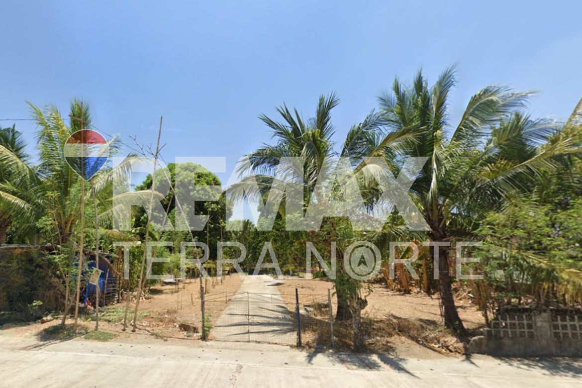 Land for Sale in Talospatang, Malasiqui, Pangasinan – photo 3