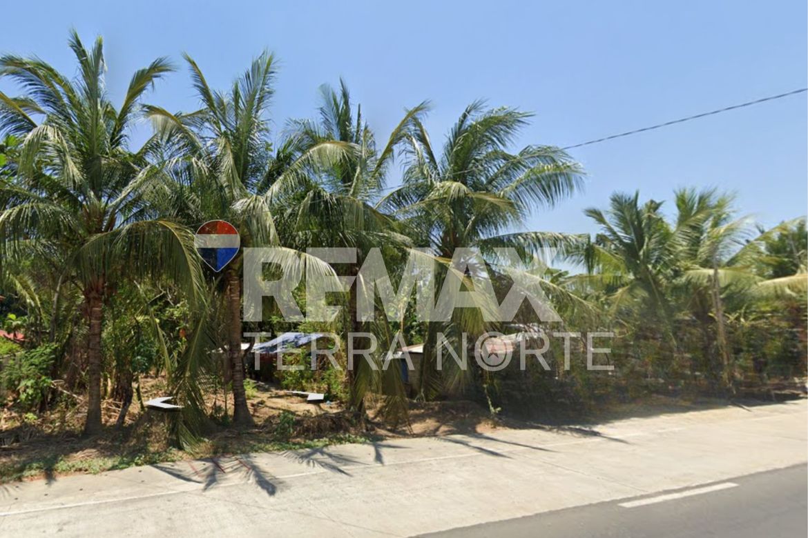 Land for Sale in Talospatang, Malasiqui, Pangasinan – photo 4