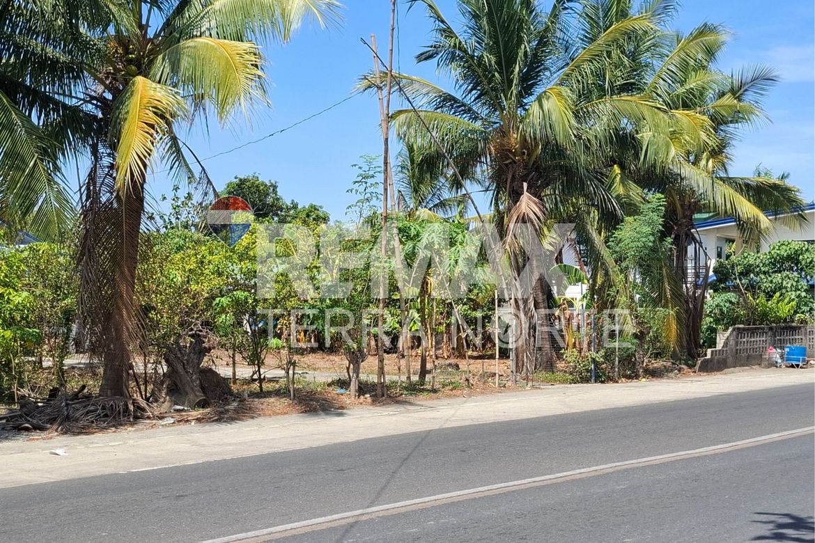 Land for Sale in Talospatang, Malasiqui, Pangasinan – photo 7