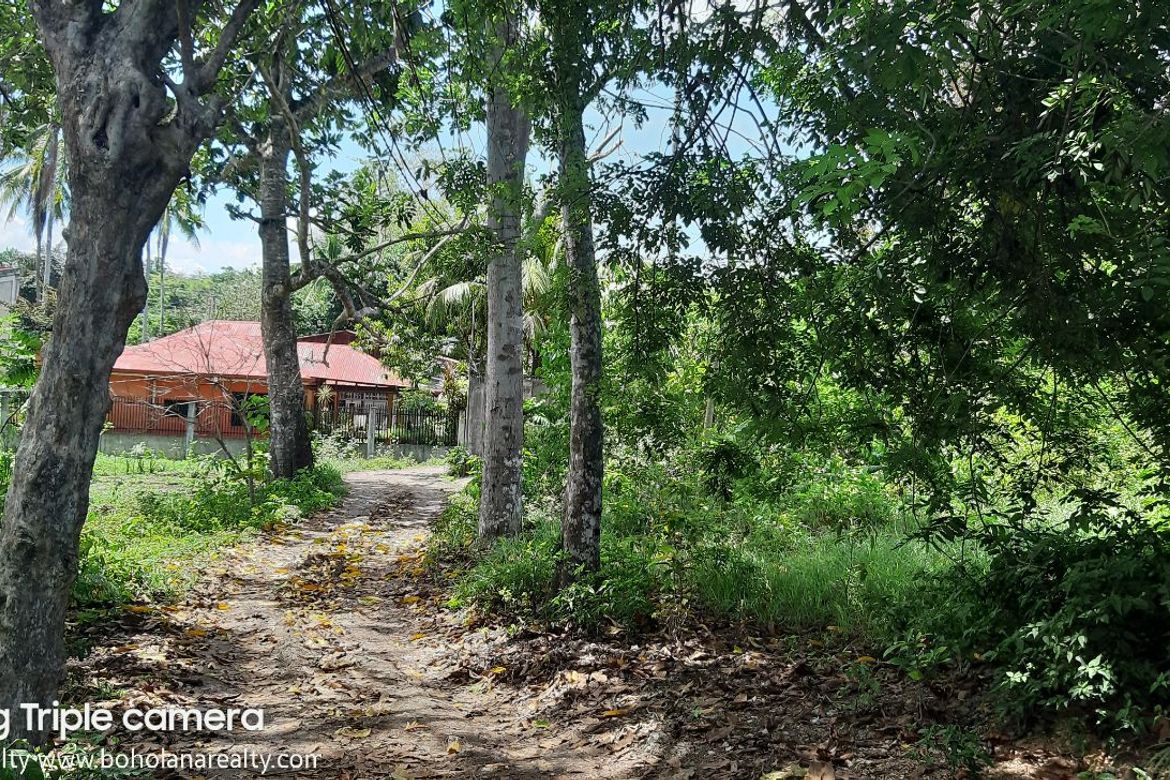 Land for Sale in Taloto, Tagbilaran, Bohol