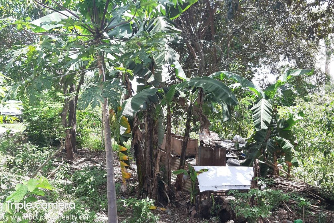 Land for Sale in Taloto, Tagbilaran, Bohol – photo 2
