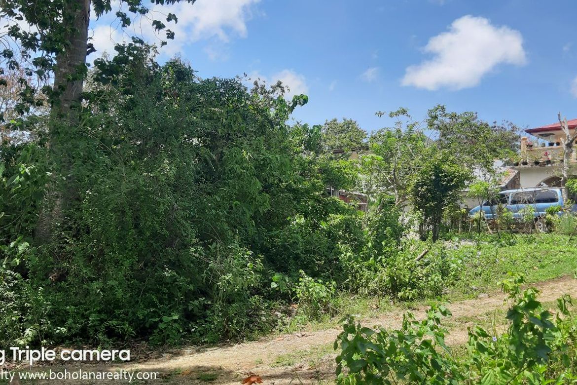 Land for Sale in Taloto, Tagbilaran, Bohol – photo 4