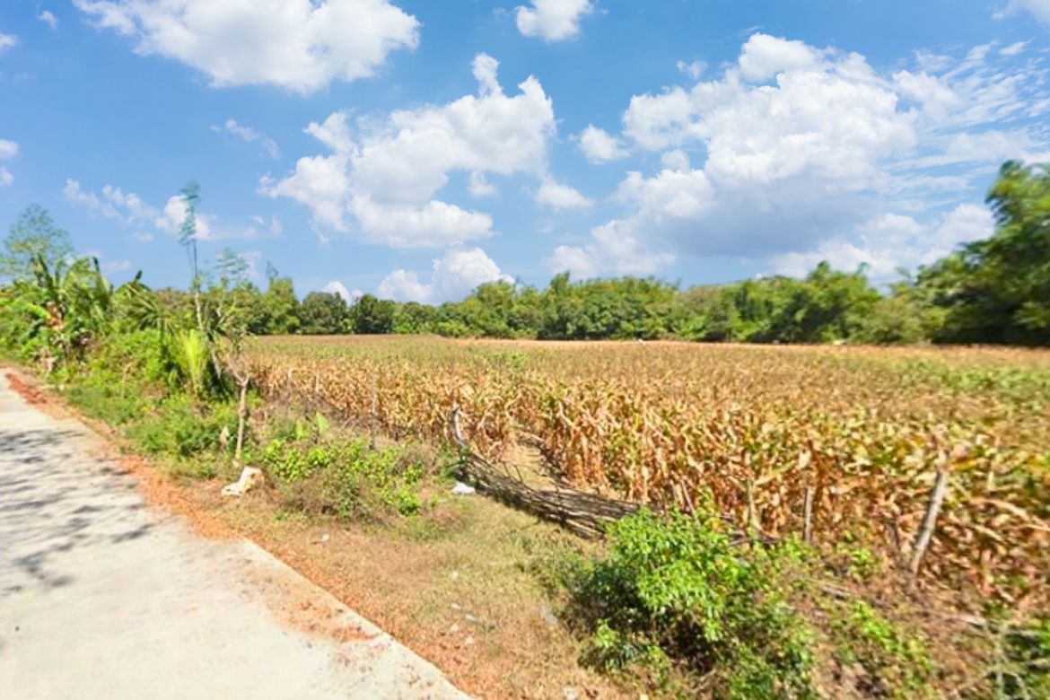 Land for Sale in Taloy, Malasiqui, Pangasinan – photo 2