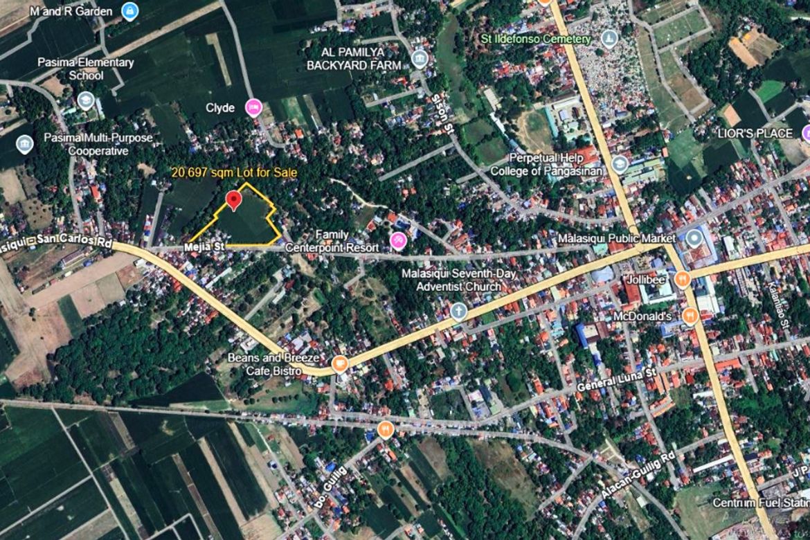 Land for Sale in Taloy, Malasiqui, Pangasinan – photo 4