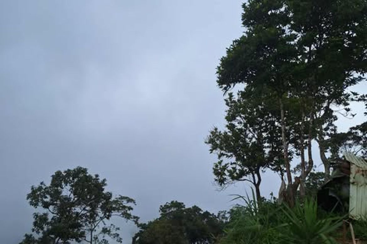 Land for Sale in Taloy Norte, Tuba, Benguet – photo 2