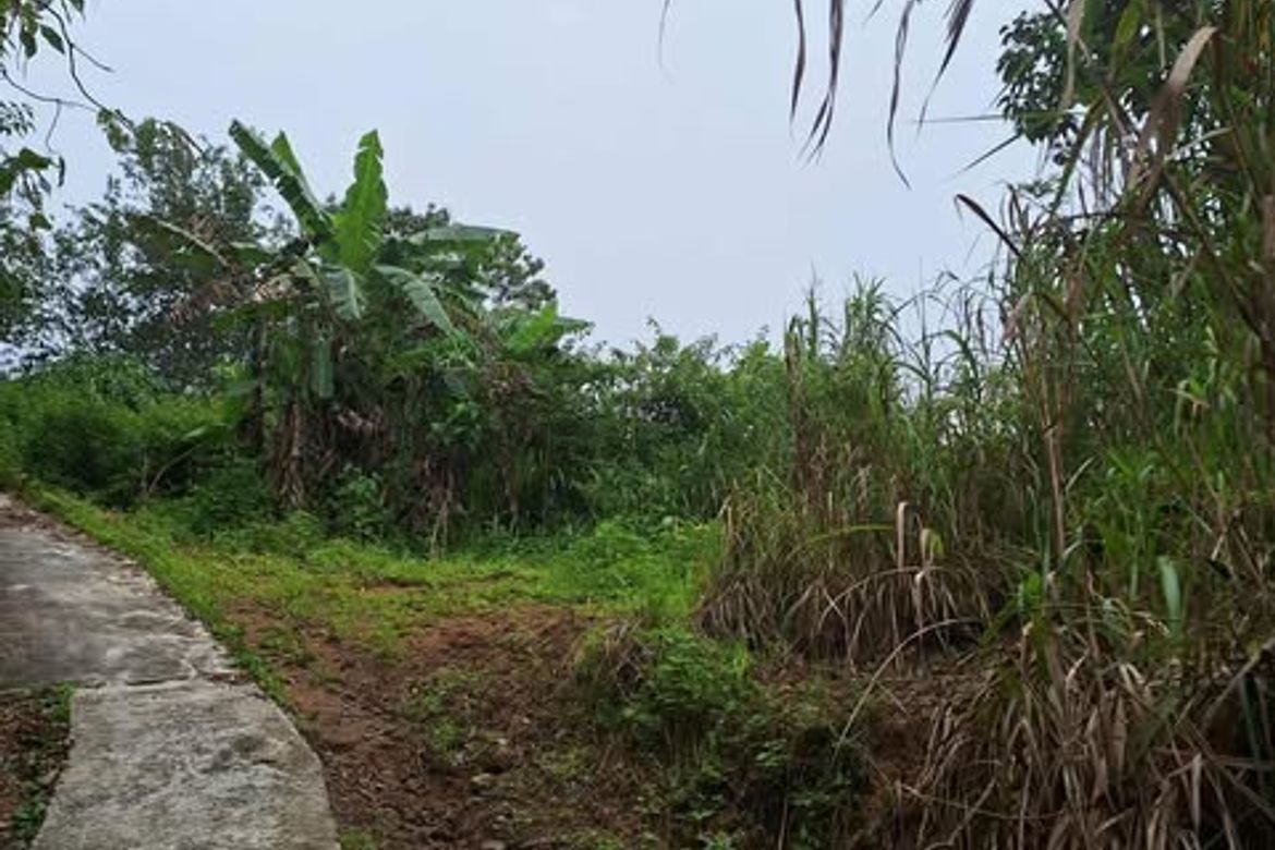 Land for Sale in Taloy Norte, Tuba, Benguet – photo 4