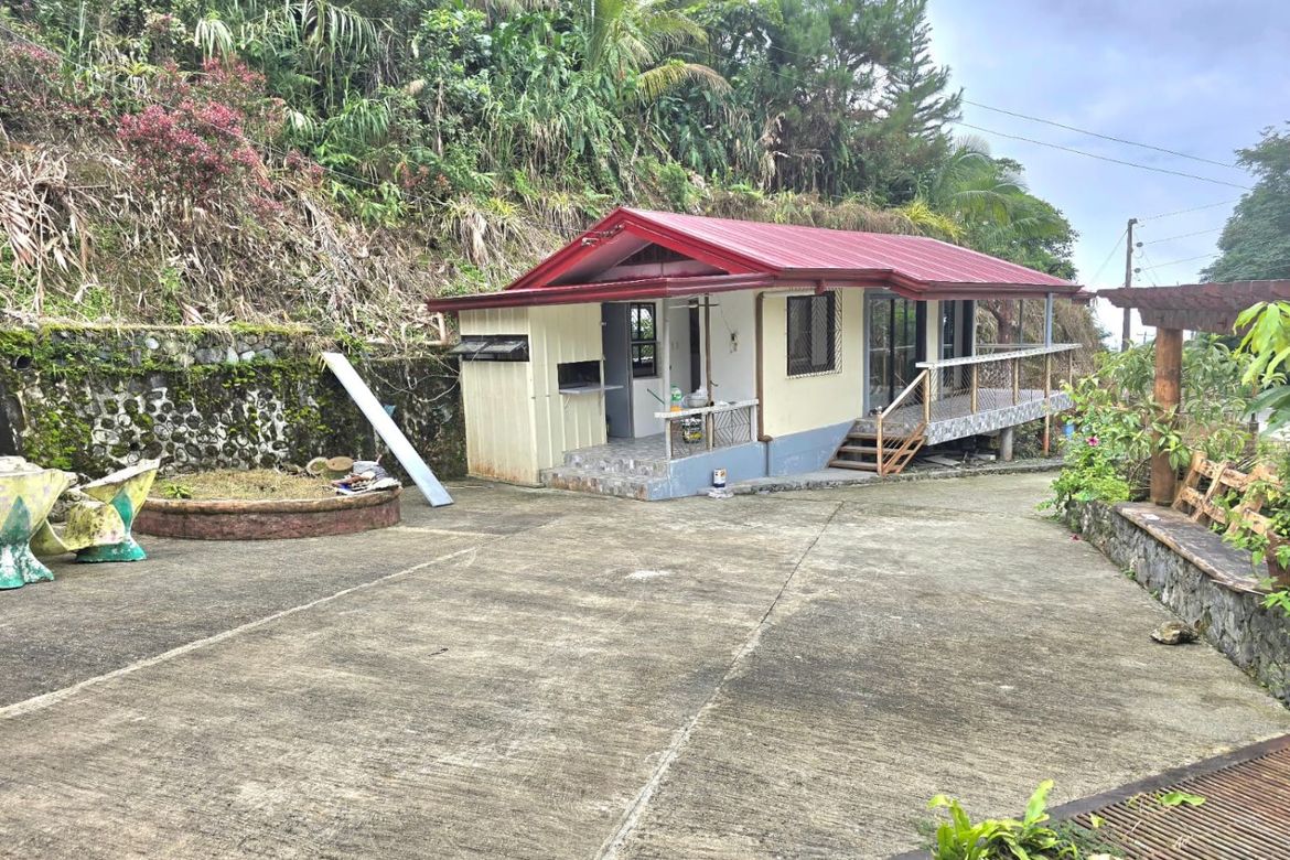 Land for Sale in Taloy Sur, Tuba, Benguet