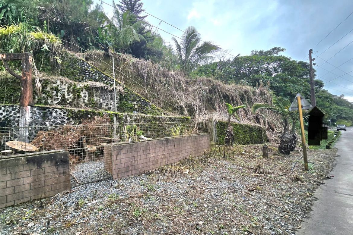 Land for Sale in Taloy Sur, Tuba, Benguet – photo 3