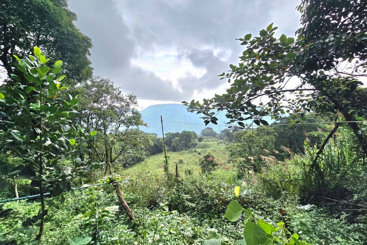 Land for Sale in Taloy Sur, Tuba, Benguet – photo 4