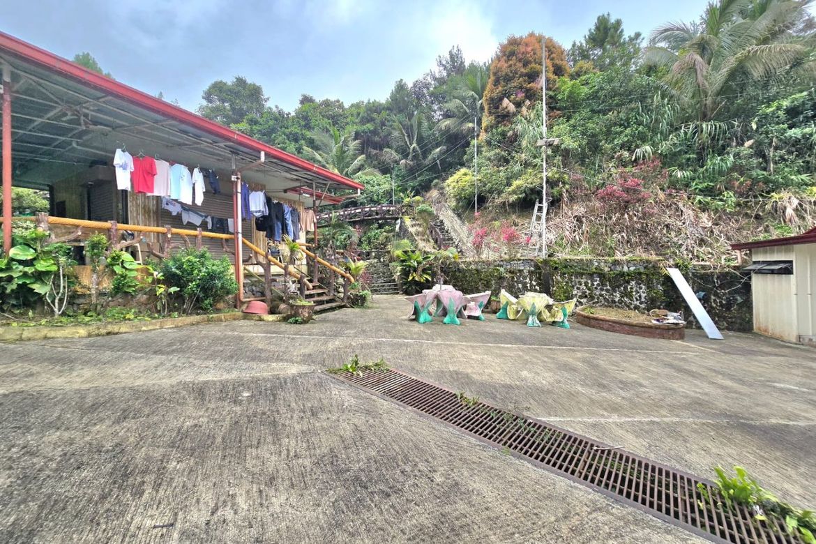 Land for Sale in Taloy Sur, Tuba, Benguet – photo 6