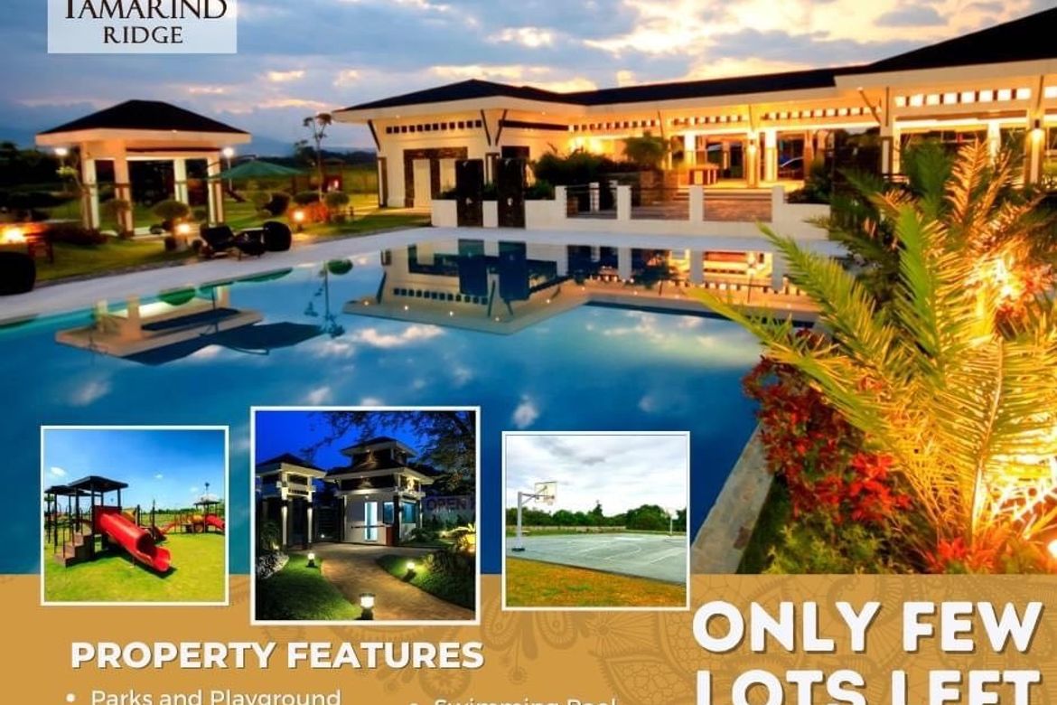 Land for Sale in Tamarind Ridge, Maria Fe, Orani, Bataan – photo 4