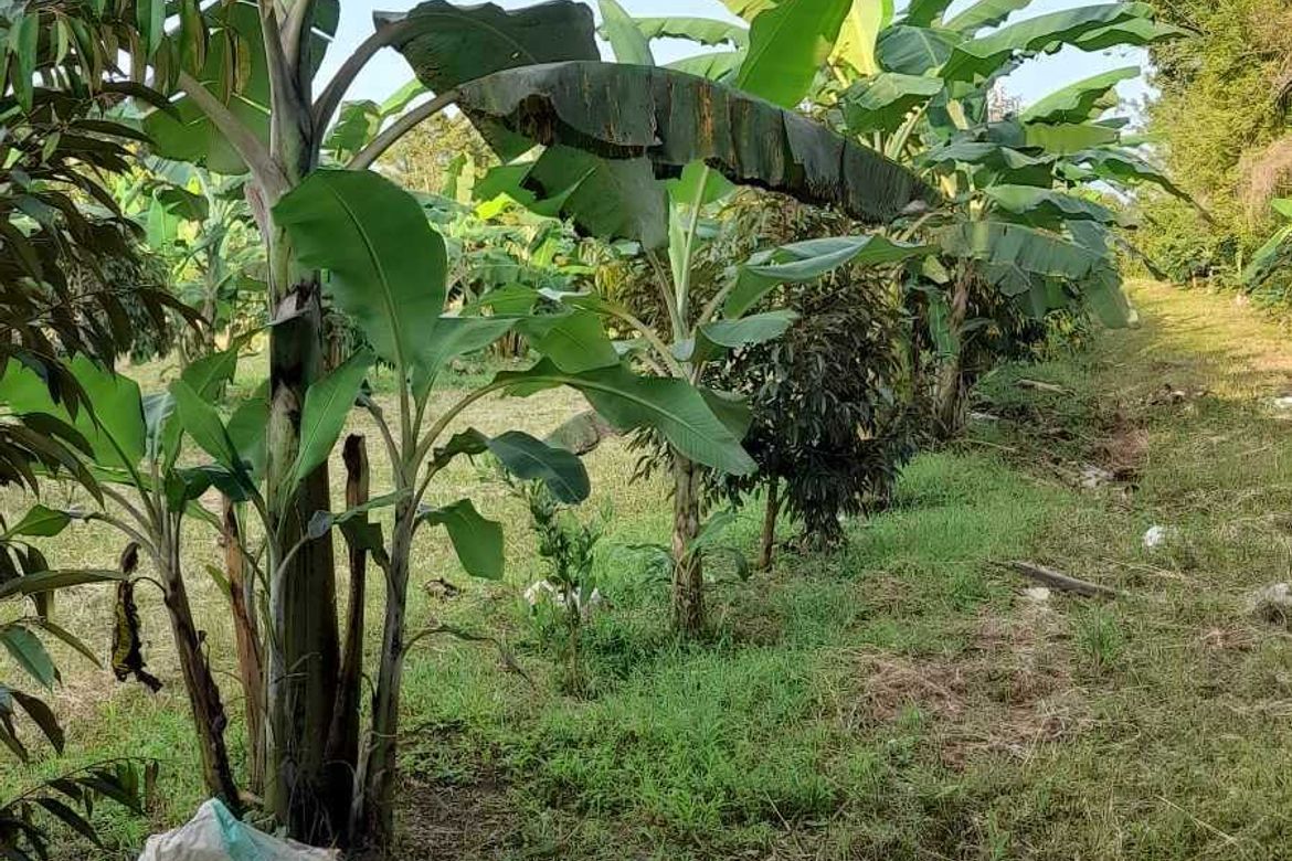 Land for Sale in Tamayong, Davao City, Davao del Sur – photo 5