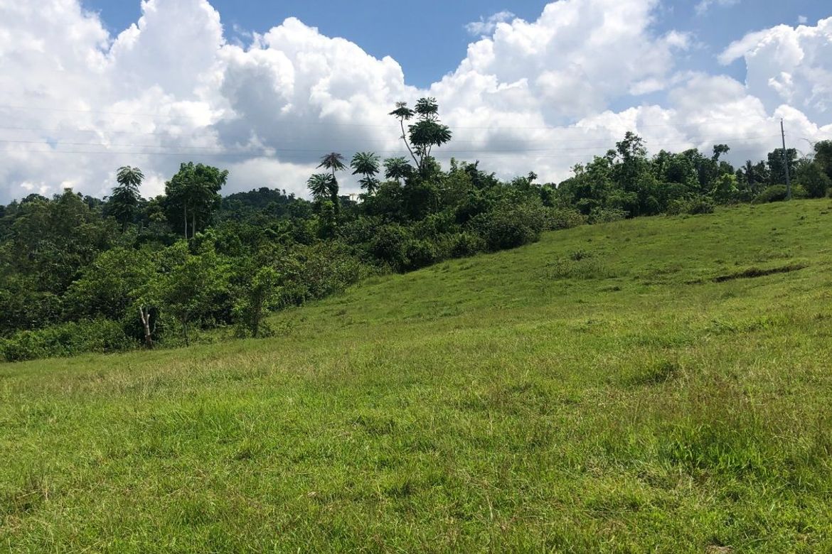 Land for Sale in Tambo-An, Carmen, Bohol – photo 4