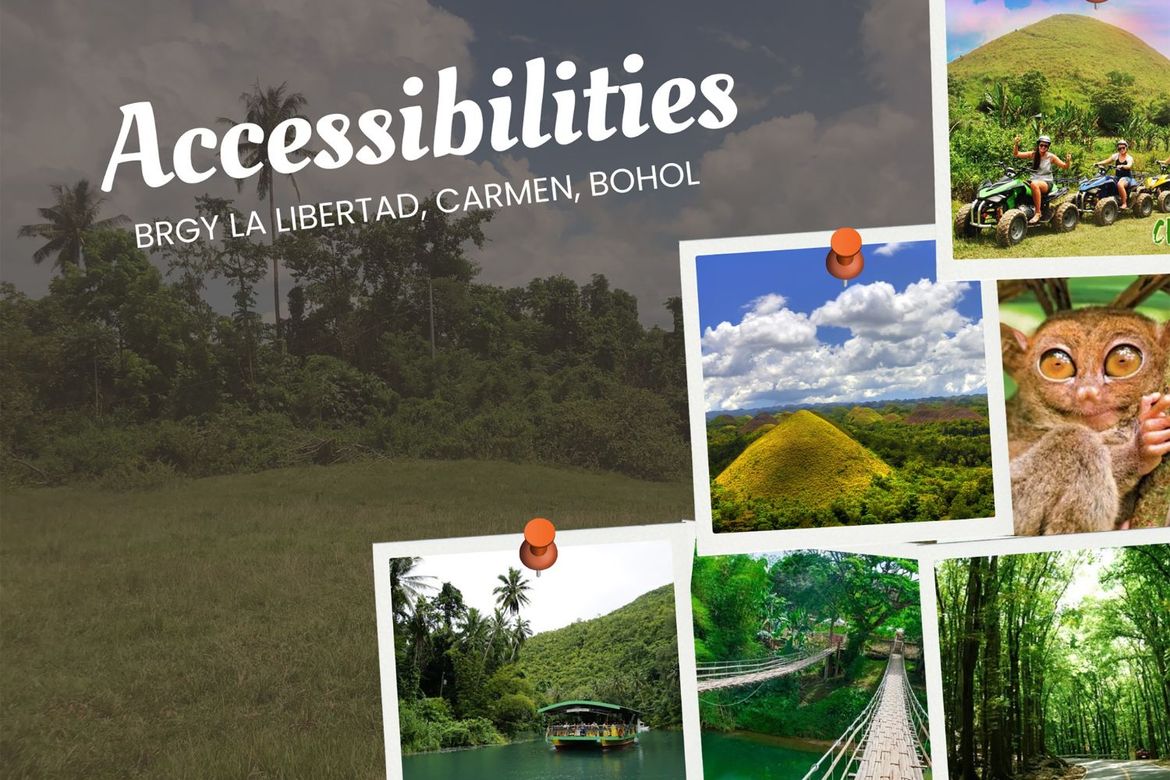 Land for Sale in Tambo-An, Carmen, Bohol – photo 7