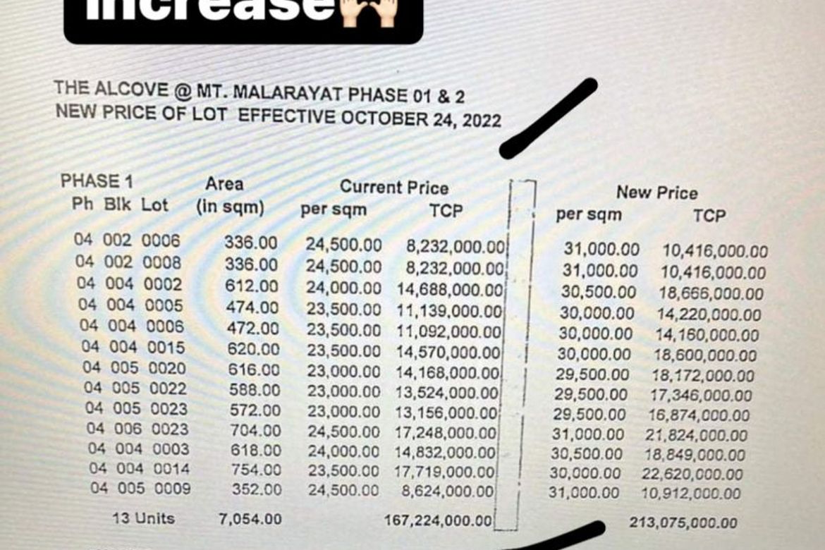 Land for Sale in Tambo, Lipa, Batangas – photo 2