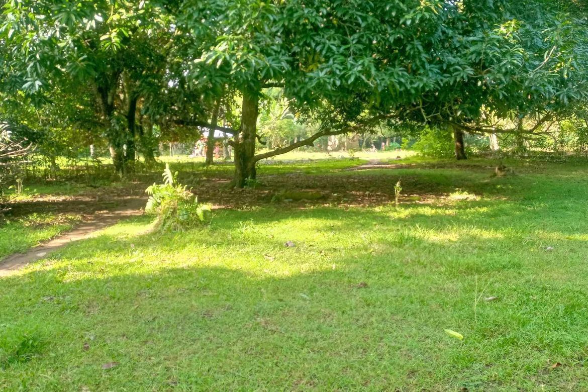 Land for Sale in Tambo, Samal, Davao del Norte