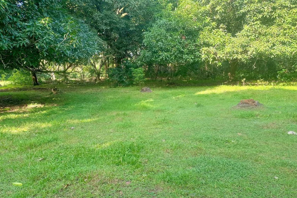 Land for Sale in Tambo, Samal, Davao del Norte – photo 2