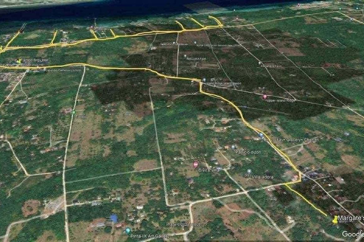 Land for Sale in Tambo, Samal, Davao del Norte – photo 3