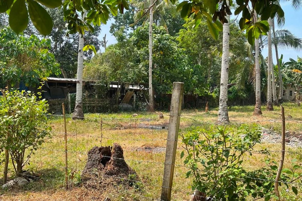 Land for Sale in Tambo, Samal, Davao del Norte – photo 6