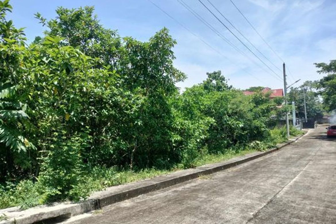 Land for Sale in Tamiao, Compostela, Cebu – photo 2