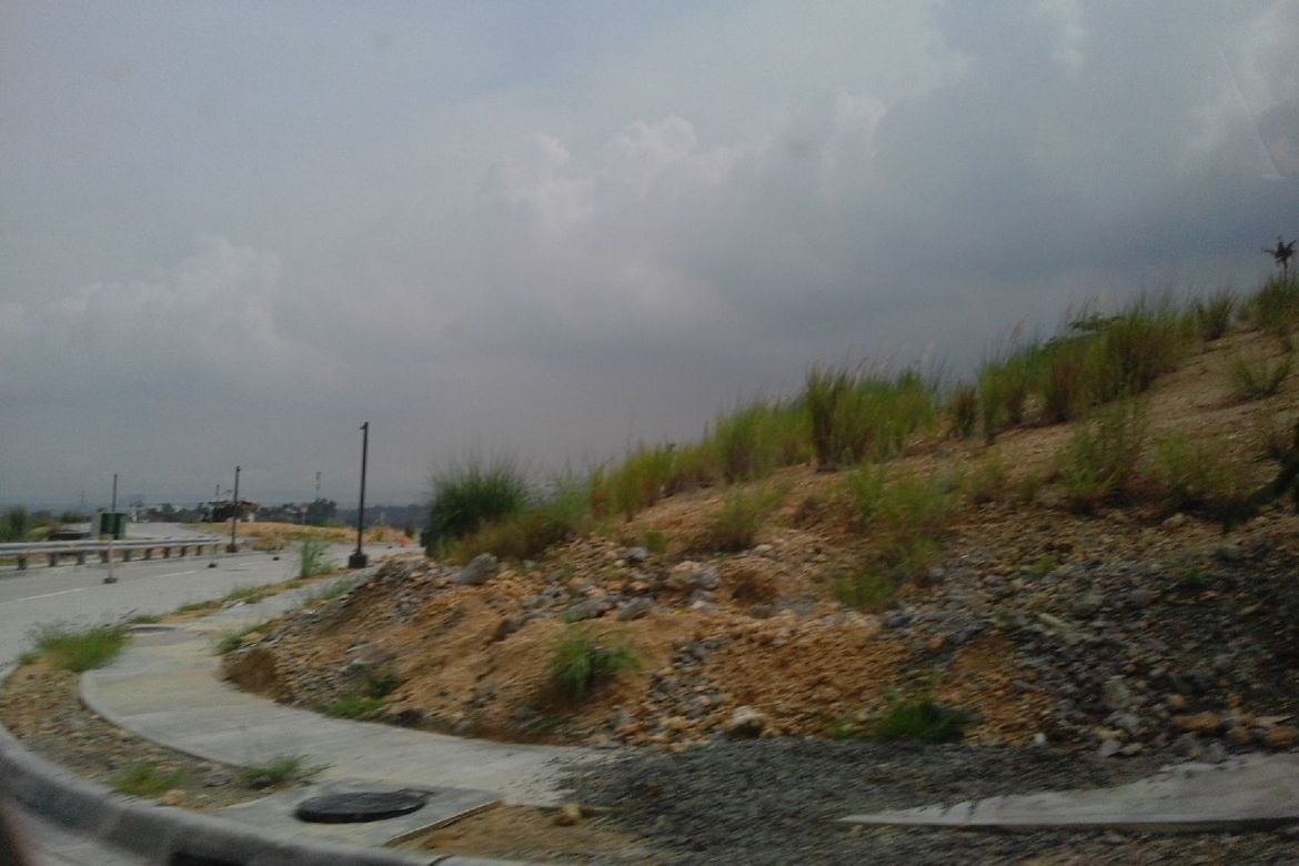 Land for Sale in Tamiao, Compostela, Cebu – photo 7