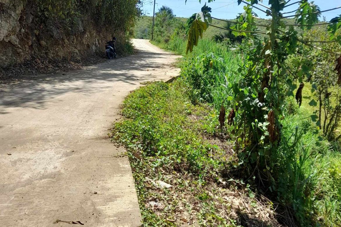 Land for Sale in Tamiao, Compostela, Cebu – photo 5