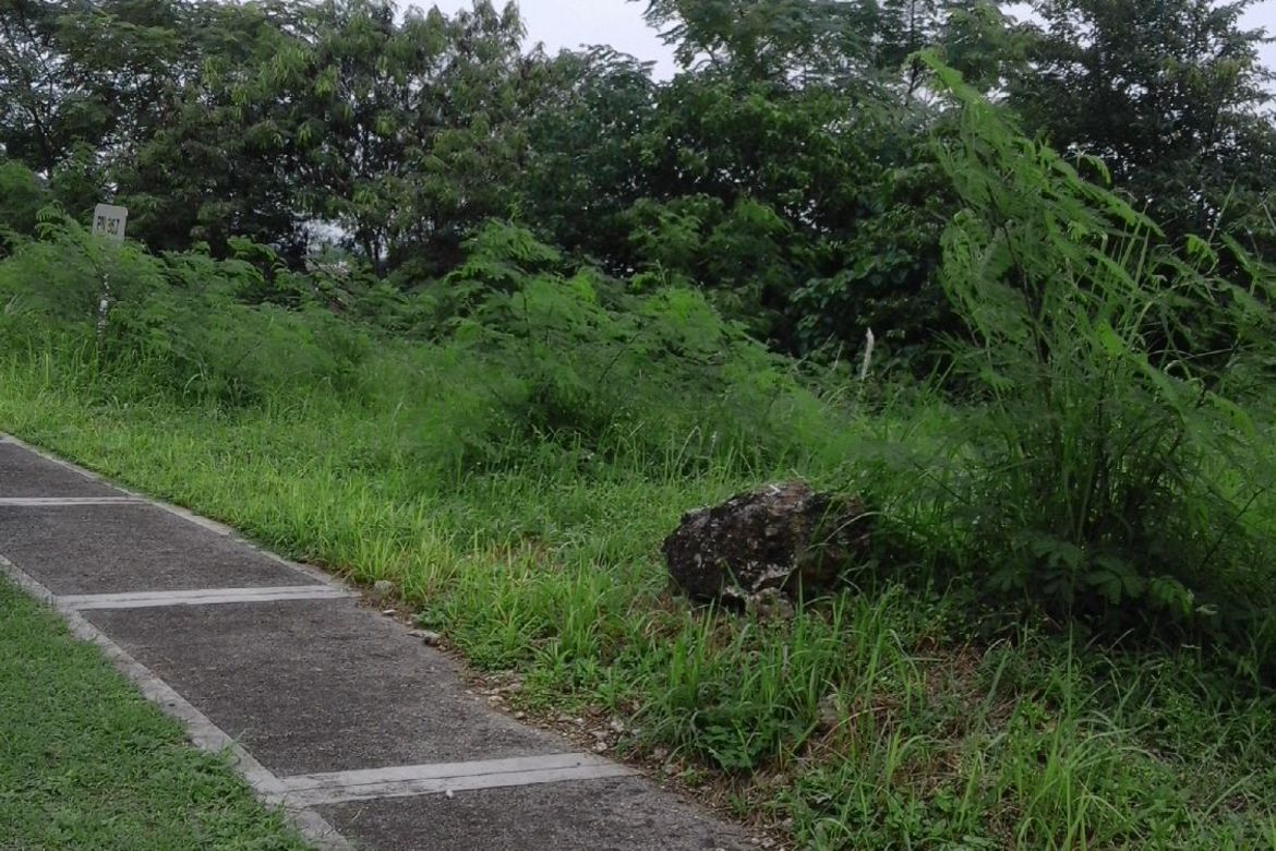 Land for Sale in Tamiao, Compostela, Cebu – photo 3
