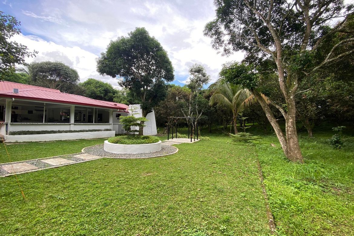 Land for Sale in Tamiao, Compostela, Cebu – photo 3